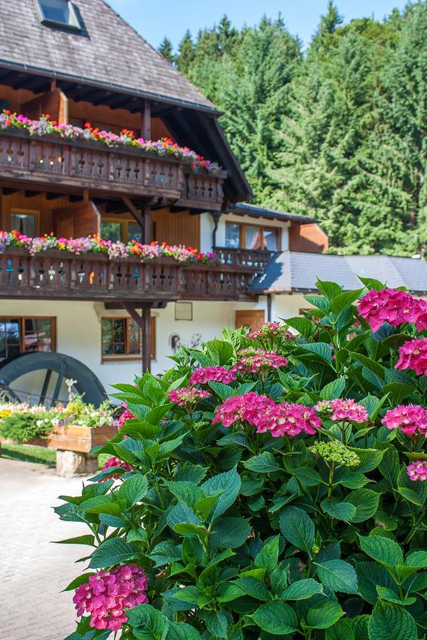 Hotel Tannenmuehle Grafenhausen Exterior photo